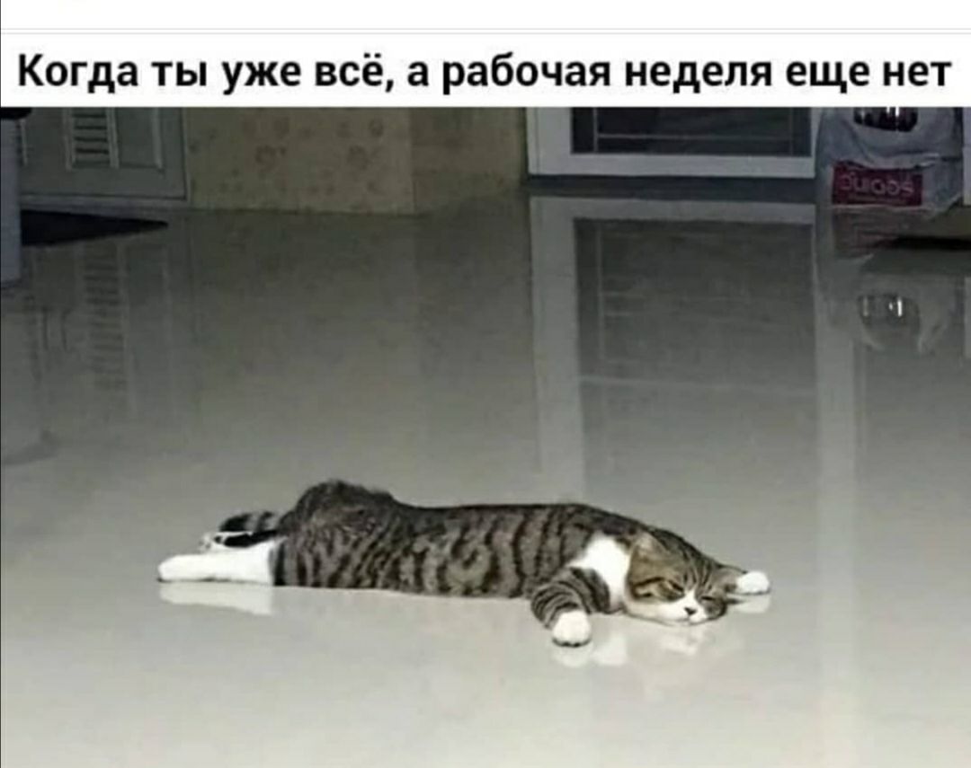 Когда ты уже всё а рабочая неделя еще нет