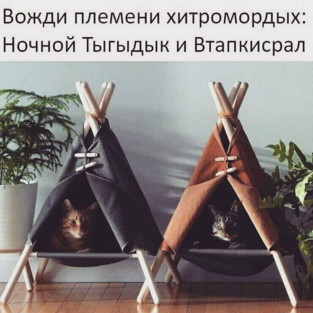 Вожди племени хитромордых Ночной Тыгыдык и Втапкисрал