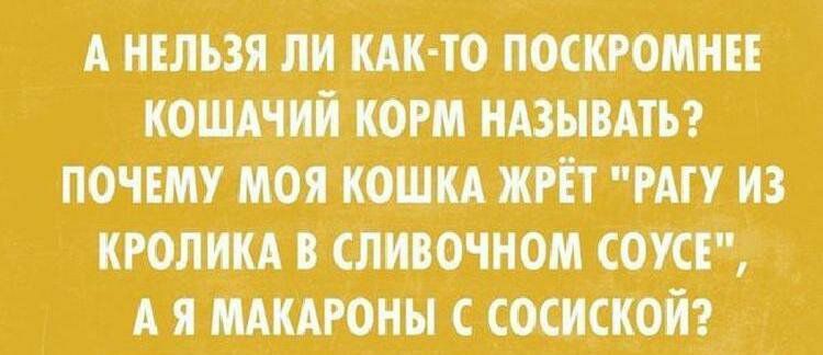 А НЕЛЬЗЯ ЛИ КАК ТО ПОСКРОМНЕЕ КОШАЧИИ КОРМ НАЗНВАТЪ ПОЧЕМУ МОЯ КОШКА ЖРЁТ РАГ У ИЗ КРОЛИКА СЛИВОЧНОМ СОУСЁ А Я МАКАРОНЫ С СОСИСКОИ