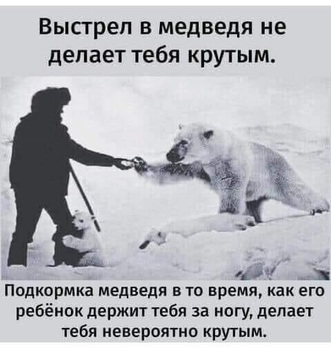 Выстрел в медведя не делает тебя крутым и Подкормка медведя в то время как его ребёнок держит тебя за ногу делает тебя невероятно крутым