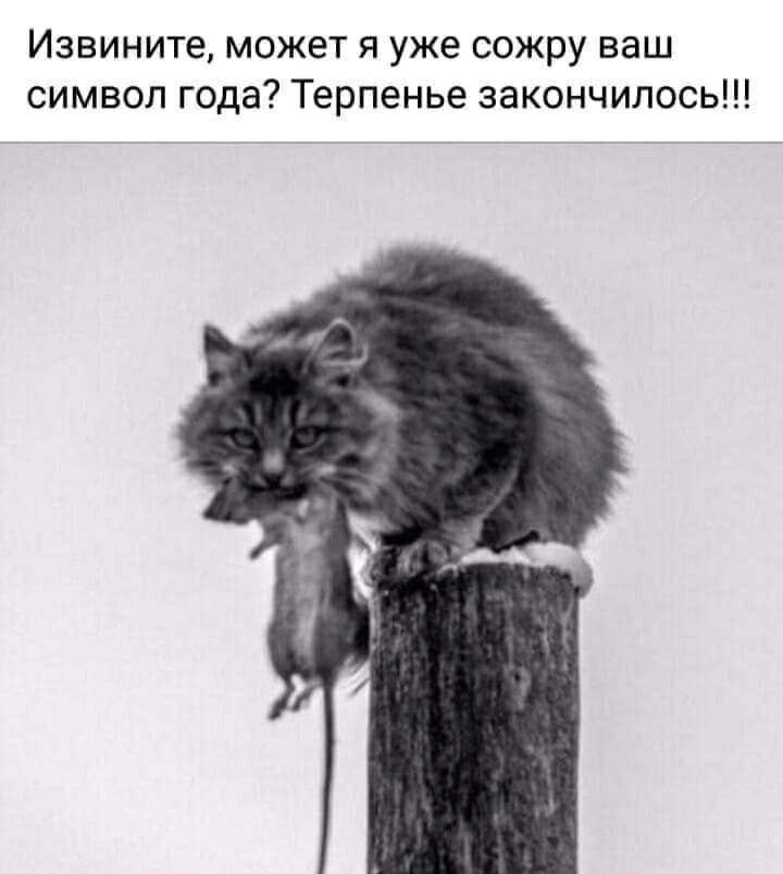 Извините может я уже сожру ваш символ года Терпенье закончилось