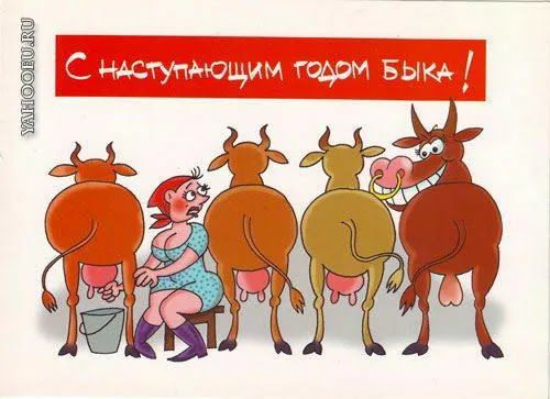 гужец чщёи