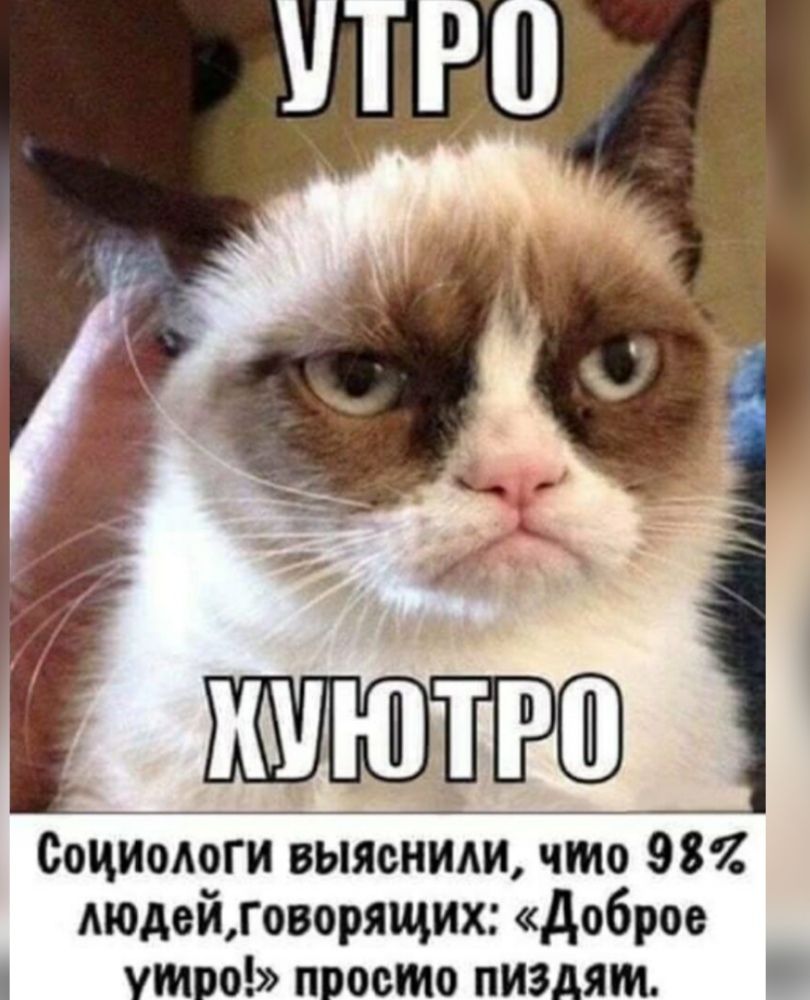 ТР Социологи выяснили что 987 людейховорящих доброе утро просто пиздям