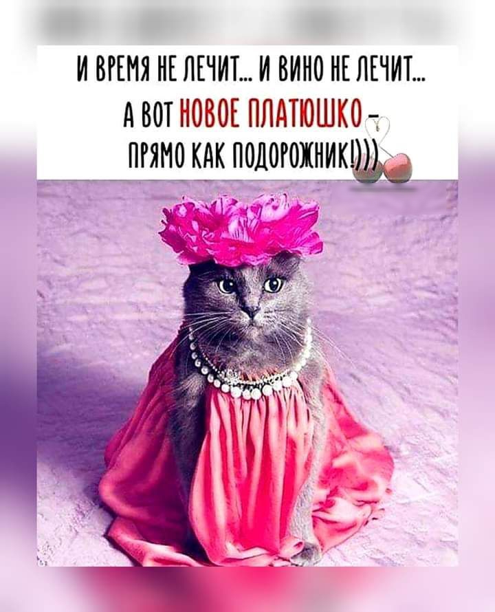 И ВРЕМЯ НЕ ЛЕЧИТИ ВИНО НЕ ЛЕЧИТ АООТ НОВОЕ ПЛН НОН НО пгямо К подощник и ч