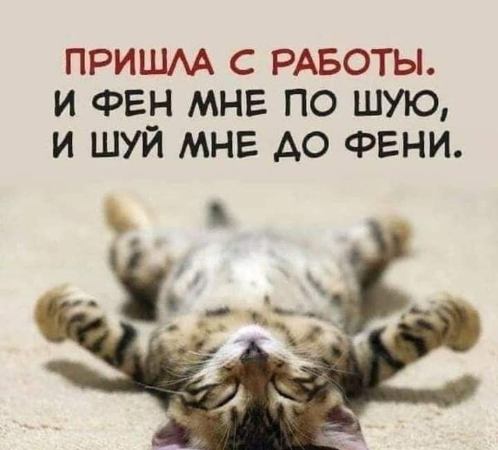 ПРИШАА С РАБОТЫ И ФЕН МНЕ ПО ШУЮ И ШУЙ МНЕ АО ФЕНИ