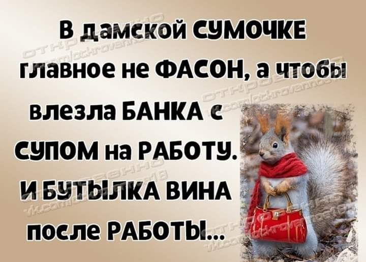 В дамской СЭМОЧКЕ главное не ФАСОН а ЧТОБЫ влезла БАНКА супом на РАБОТ