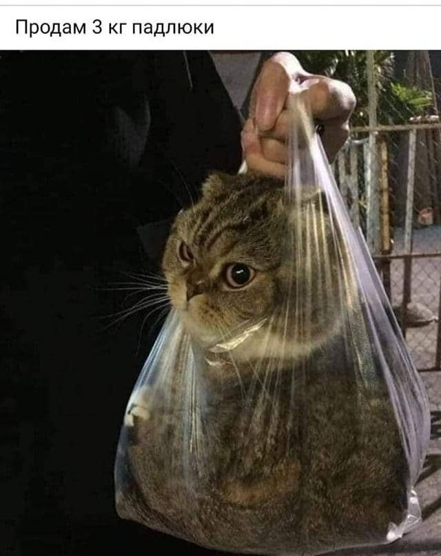 Продам 3 кг падлюки