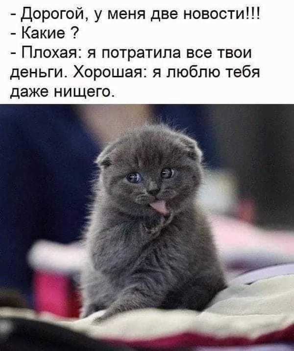 Дорогой у меня две новости Какие Плохая я потратила все твои деньги Хорошая я люблю тебя даже НИЩЕГО