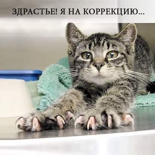 Стьыяш коррвкцию