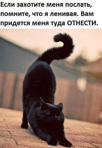 Если захотите меня послать помните что я ленивая Вам придется меня туда ОТНЕСТИ