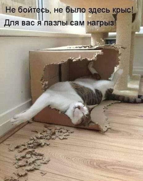 Не бейте ь не было здесь к Для вас пазлы сам нагр