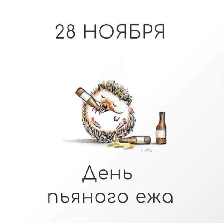 28 НОЯБРЯ День пьяного ежо