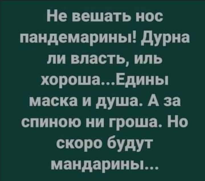 Не вешать нос пандемарины дурна пи власть иль хорошаЕдины маска и душа А за спиною ни гроша Но скоро будут мандарины