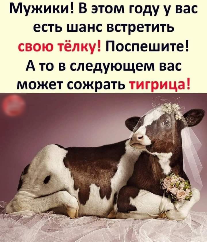 Мужики В этом году у вас есть шанс встретить 2 Поспешите А то в следующем вас МОЖЭТ СОЖРЗТЬ