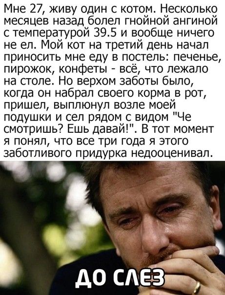 Мне 27 живу один с котом Несколько месяцев назад болел гнойной ангиной с температурой 395 и вообще ничего не ел Мой кот на третий день начал ПРИНОСИТЬ мне еду Б посгепь печенье пирожок конфеты всё что лежало на столе Но верхом заботы было когда он набрал своего корма в рот пришел выплюнул возле моей подушки и сел рядом с видом Че смотришь Ешь давай В тот момент Я понял ЧТО все три года Я ЭТОГО заб