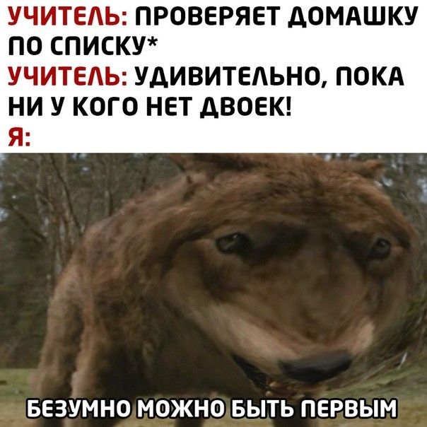 УЧИТЕЬ ПРОВЕРЯЕТ АОМАШКУ ПО СПИСКУ УЧИТЕЛЬ УдИВИТЕАЬНО ПОКА НИ У КОГО НЕТ АВОЕК Я БЕЗУМНО МОЖНО БЫТЬ ПЕРВЫМ