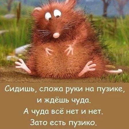 и а а г Сидишь сложа руки на пузике и ждёшь чуда А чуда всё нет и нет Зато есть пузико