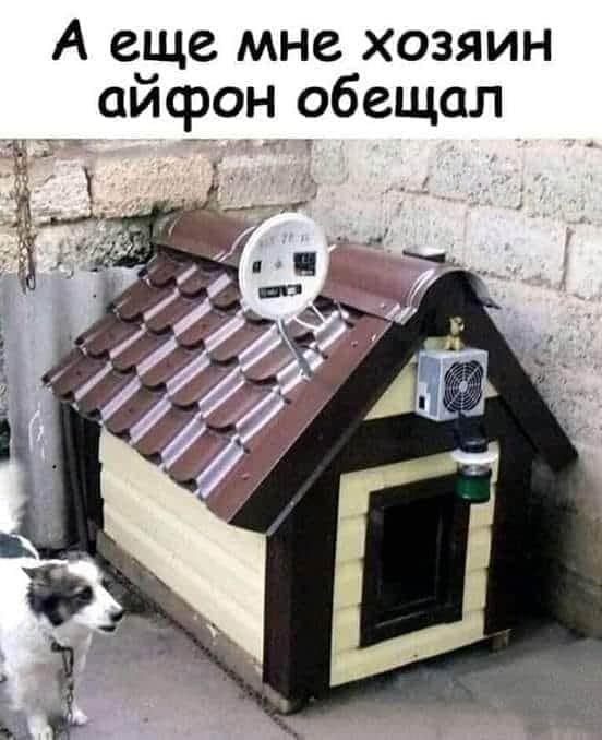 А еще мне хозяин сифон обещал Х