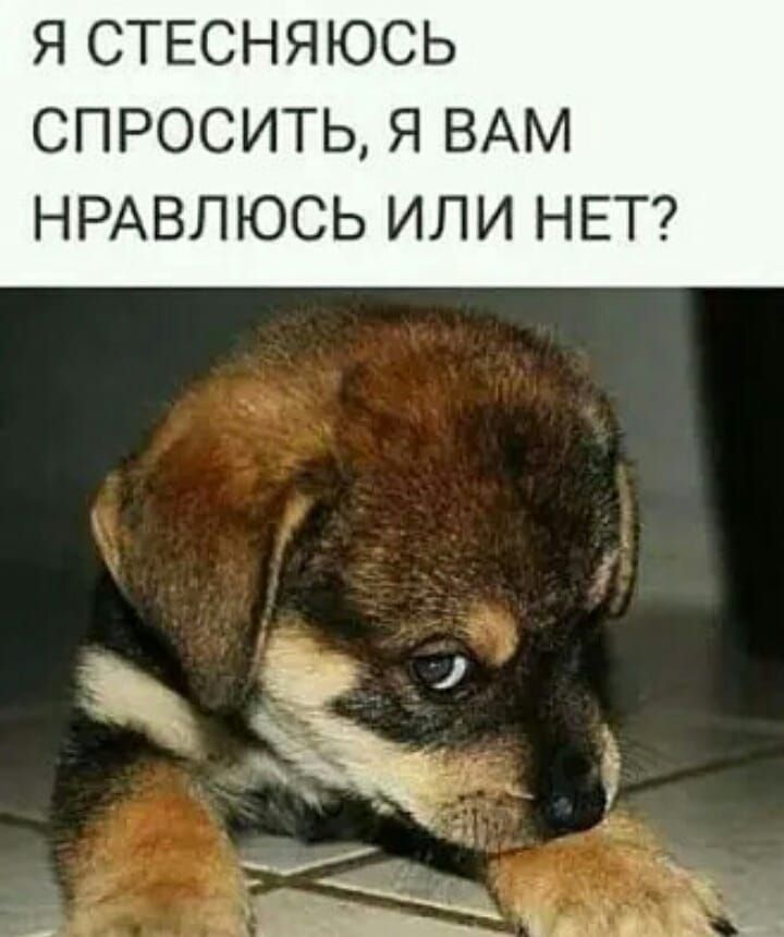 Я СТЕСНЯЮСЬ СПРОСИТЬ Я ВАМ НРАВЛ ЮСЬ ИЛИ НЕТ