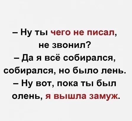 Ну ты чего не писал не звонил Да я всё собирался собирался но было лень Ну вот пока ты был олень я вышла замуж