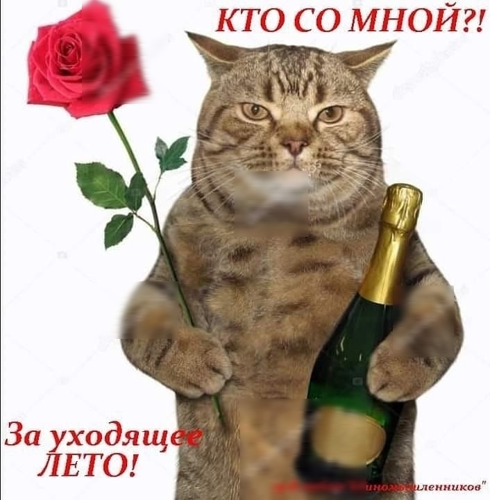 кто со МНОЙ За уходящ ЛЕТО