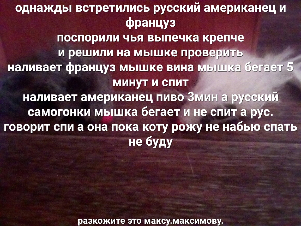 однажды встретились русский американец и француз поспорили чья выпечка крепче и решили на мышке провш г наливает француз мышке вина пышки беги эт минут и спит _ наливает американец пивоТ н а г УСЫЩЬ самогонки мышка бегает взр пе опита с говорит спи а она пока коту роЖу не набью спать не буду разкожите ЭТО МЗКСУМ8КСИМОВУ