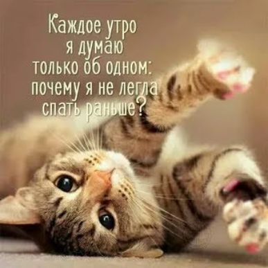 Каждое утро я думаю только об одном