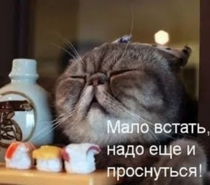 надо ещеи проснуться