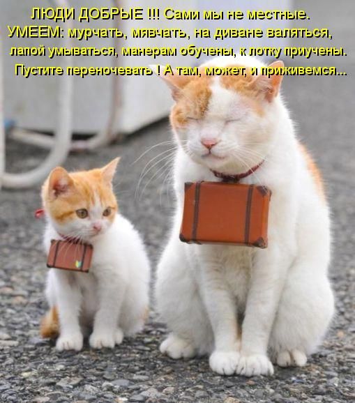 Сами мы не те ПГ Піёди ЦОЗ г