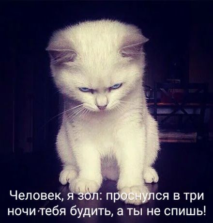 Человек ночи тебя будить а ты не спишь