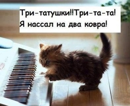 _ _ РЕ ПритцтушкиТритата _ _ 3Я нассцл на два ковра Е