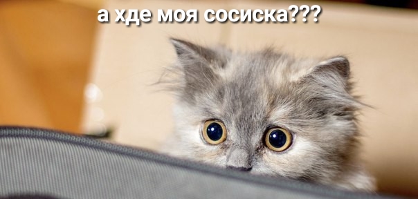 гдэ мэн 59531555327