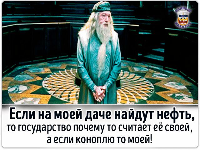 Если на моей даче найдут нефЁ то государство почему то считает её своей а если коноплю то моей
