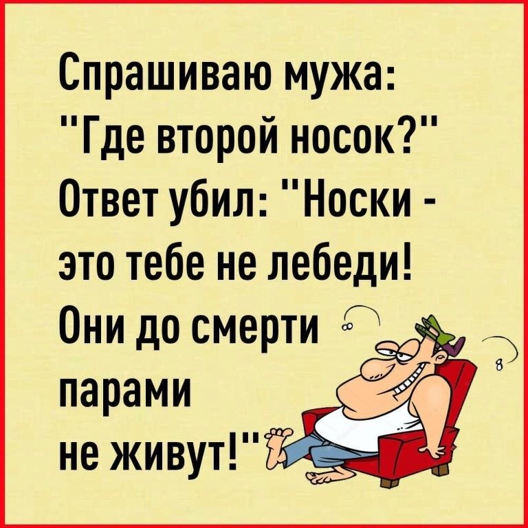 Спрашиваю мужа Где второй носок Ответ убил Носки это тебе не лебеди Они до смерти 0 парами