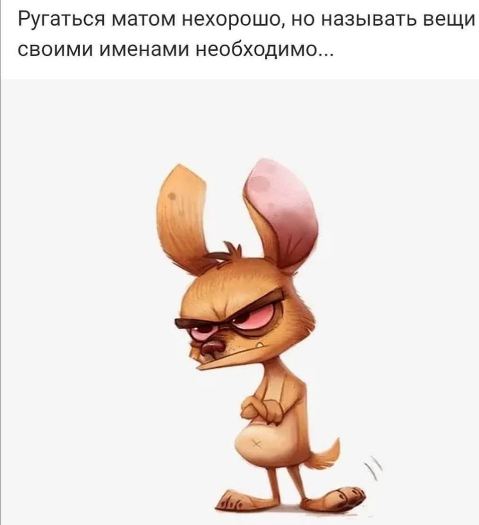 РУГЭТЬСЯ МЭТОМ нехорошо НО НЭЗЫВЭТЬ ВЕЩИ СВОИМИ именами НЭОбХОДИМО