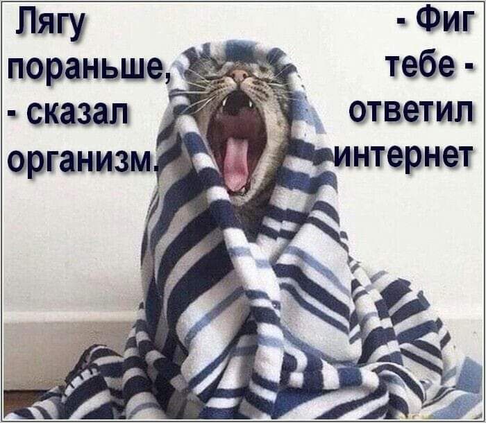 Фиг тебе ответил