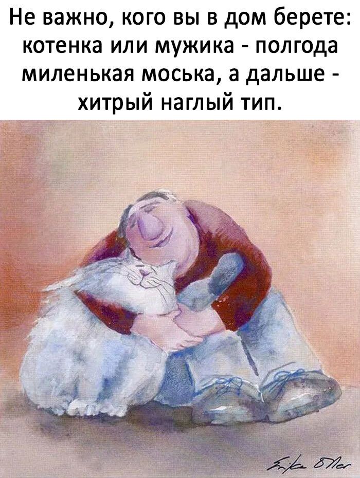 Не важно кого вы в дом берете котенка или мужика полгода миленькая моська а дальше хитрый наглый тип