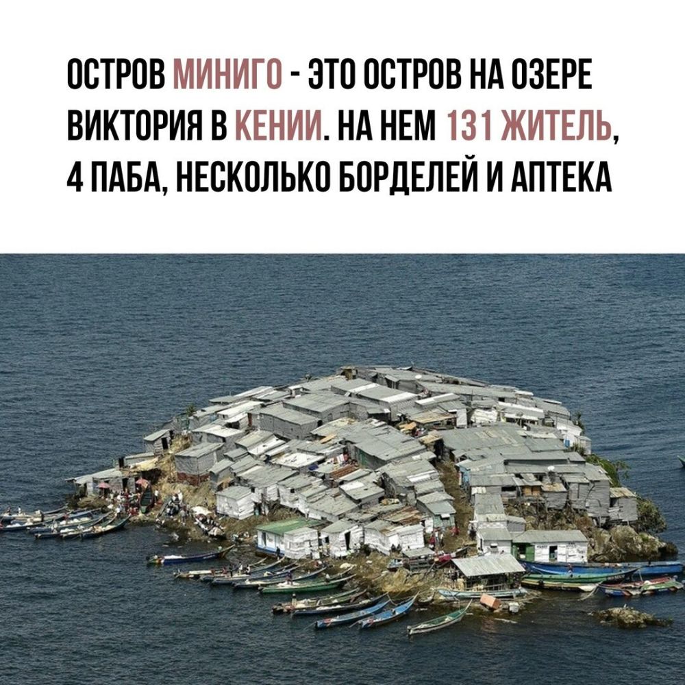 ООТРОВ МИНИГО ОТО ООТРОВ НА ОЗЕРЕ ВИКТОРИЯ В КЕНИИ НА НЕМ 131 ЖИТЕЛЬ 4 ПАБА НЕОКОЛЬКО БОРДЕЛЕИ И АПТЕКА