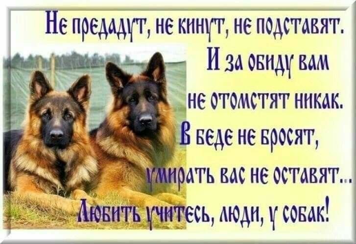 Не предщг не кннш не помтавят _ _ _а Изаовндувдм не отомстят никак веде не просит рать вас не оставят _Мвнгвгштесь моди сонак
