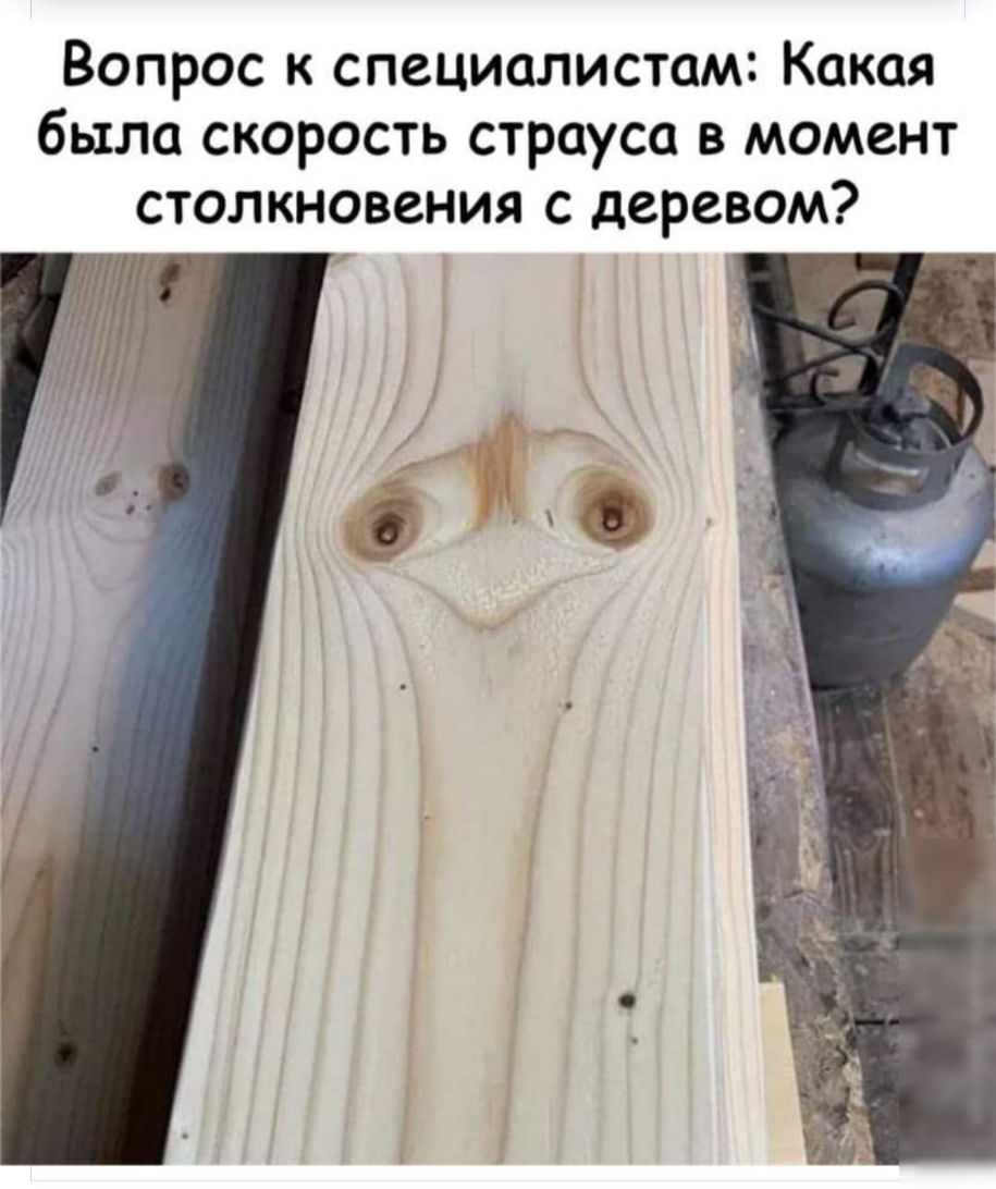 Вопрос к специалистам Какая было скорость страуса в момент столкновения с деревом