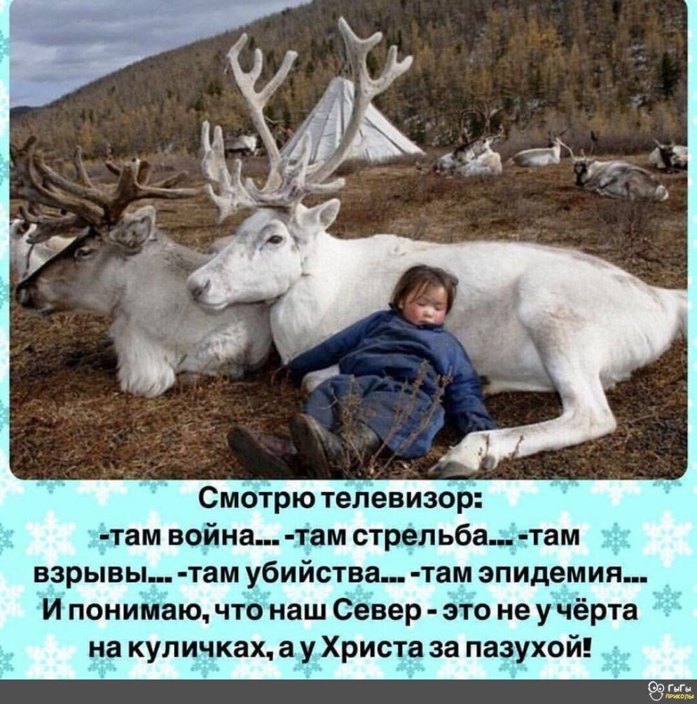 Смотрю телевизор там война там стрельба там взрывы там убийства там эпидемия И понимаю что наш Север это не у чёрта на куличках а у Христа за пазухой