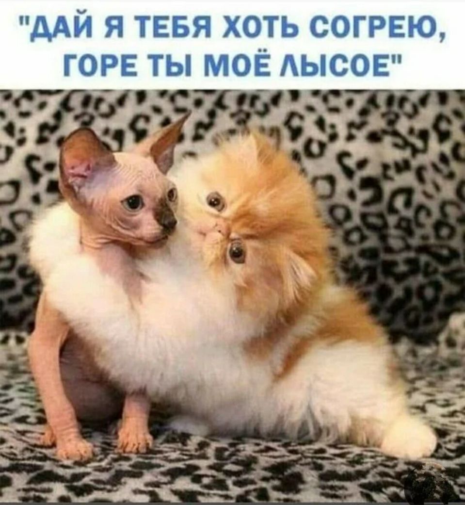 дАЙ я тввя хоть согию горе ты мог АЫСОЕ