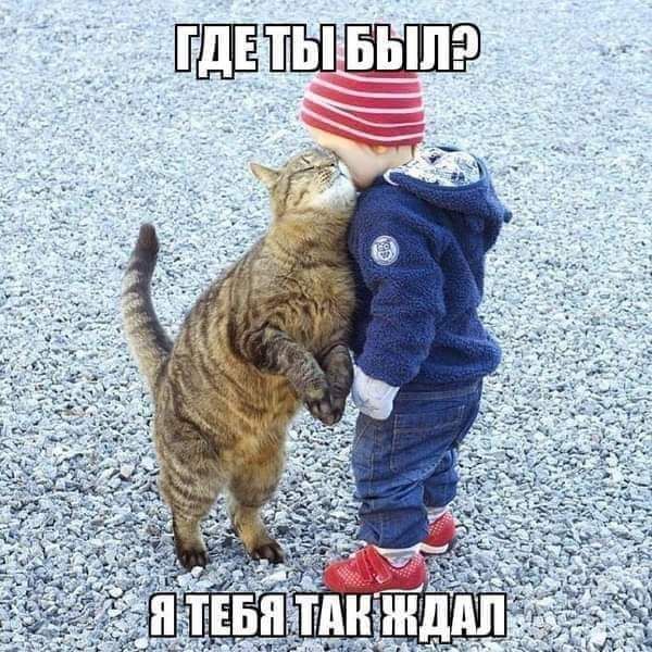 _ПЩЁШШШ
