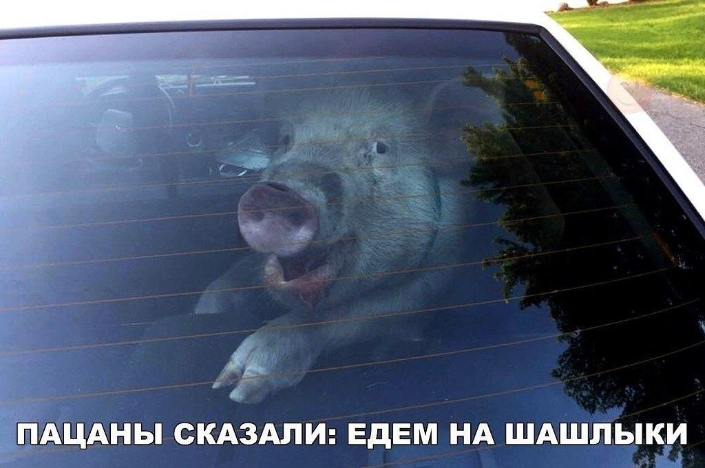 _ ПАЦАНЫ СКАЗАЛИ ЕдЕМ НА ШАШЛЫКИ