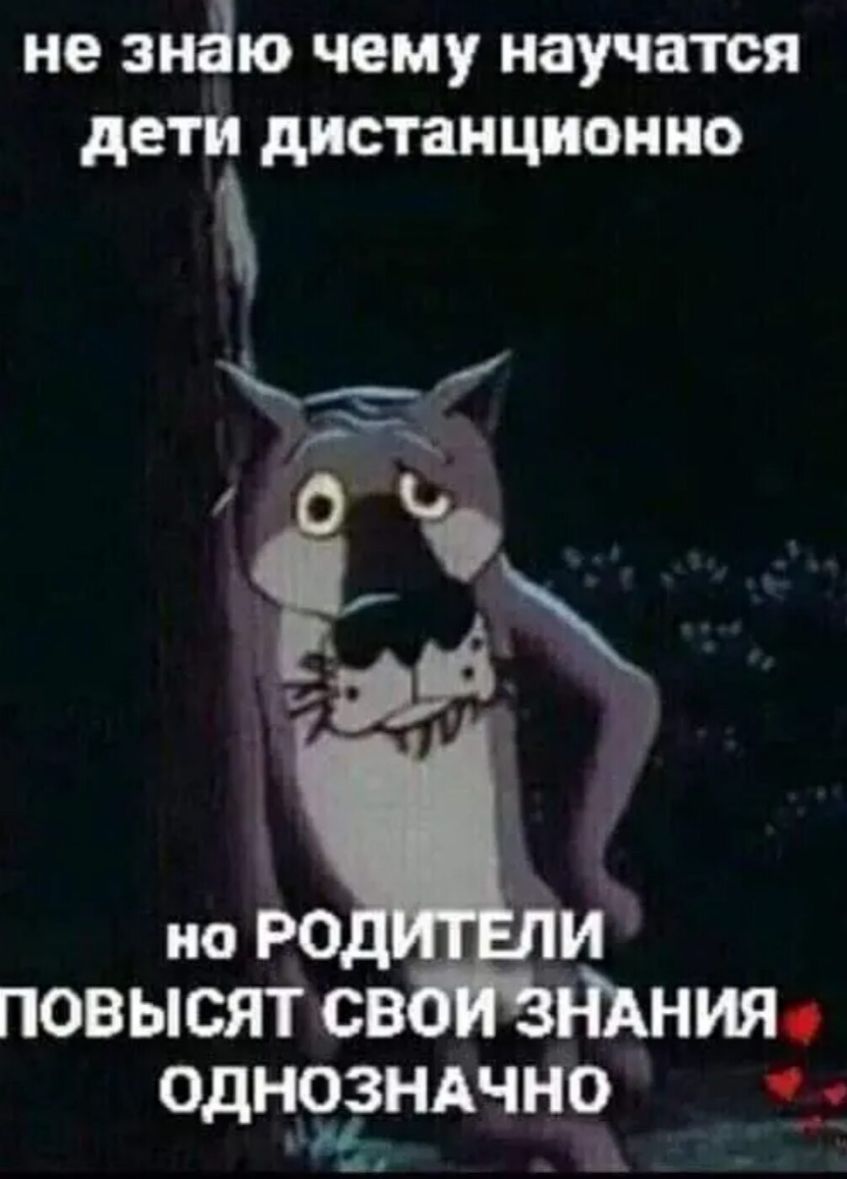 не знаю чему научатся дети дИСТаНЦИОННО повысят св одн9зндчно