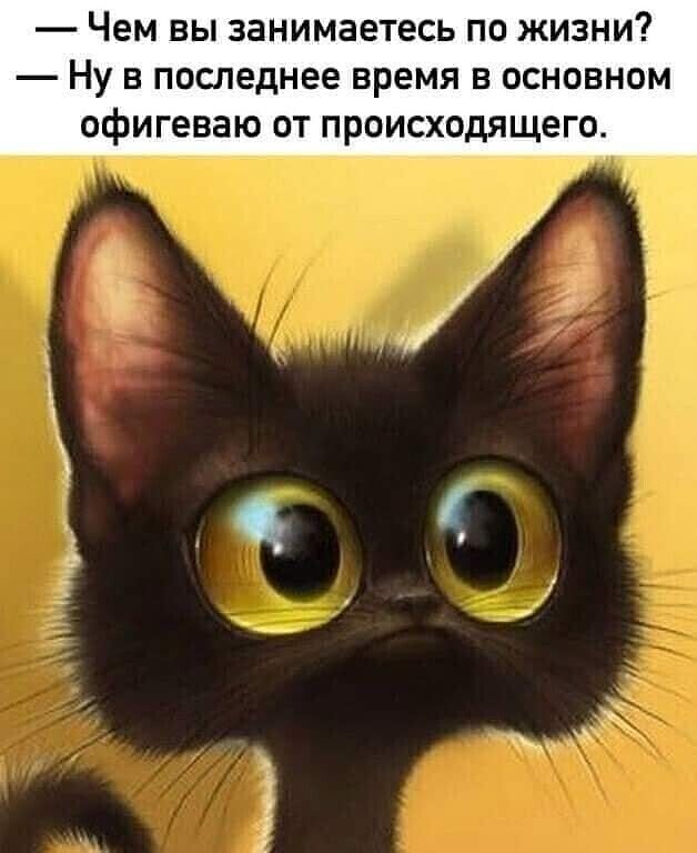 Чем вы занимаетесь по жизни Ну в последнее время в основном офигеваю от происходящего