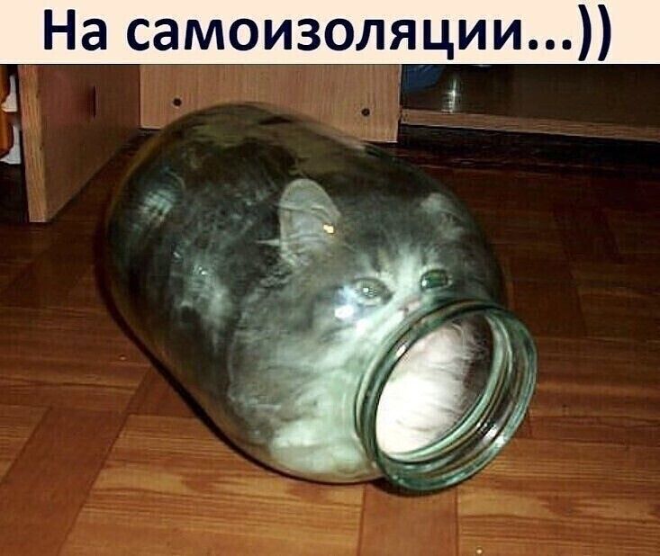 Ь ц На самоизоляции