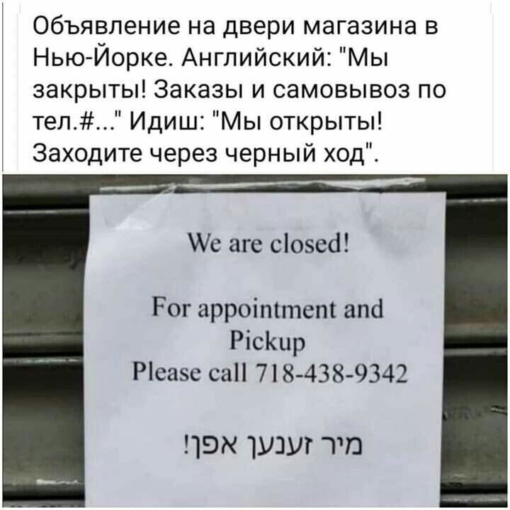 Объявление на двери магазина в Нью Йорке Английский Мы закрыты Заказы и самовывоз по тел Идиш Мы открыты Заходите через черный ход М аге сіозед Рог арроіттет апс Рісішр Ріеаэс са 718 438 9342 ПЭМ УЦУТ ТП
