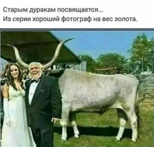 Старым дуракам посвящается Из серии хороший фотограф на вес золота