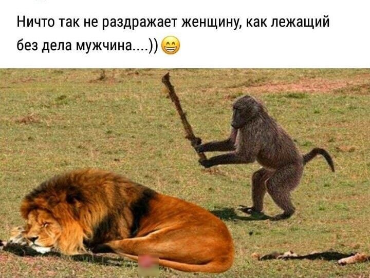 НИЧТО Так не раздражает ЖЕНЩИНУ КВК лежащий без дела мужчина